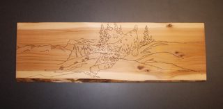 Lynx Chase