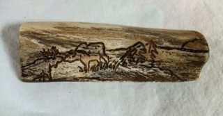 Moose Bone Carving #14